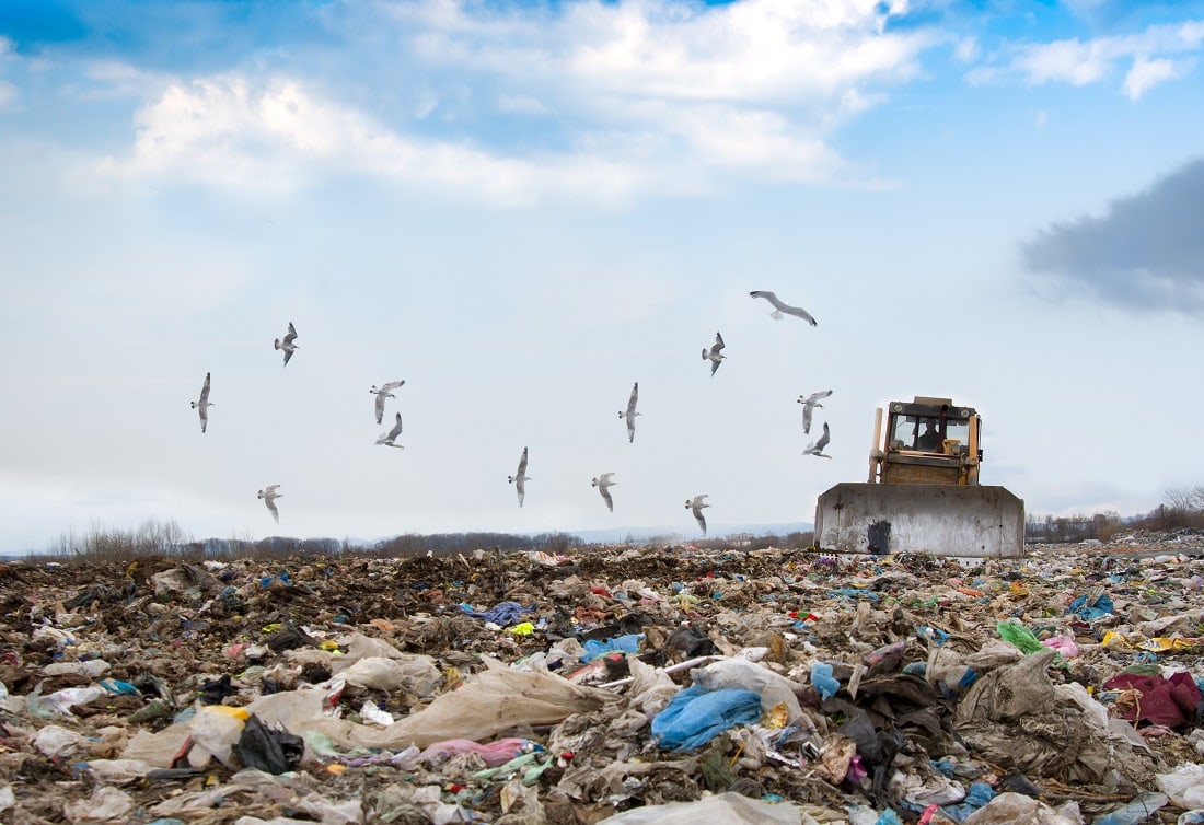 Waste Management in Tamil Nadu
